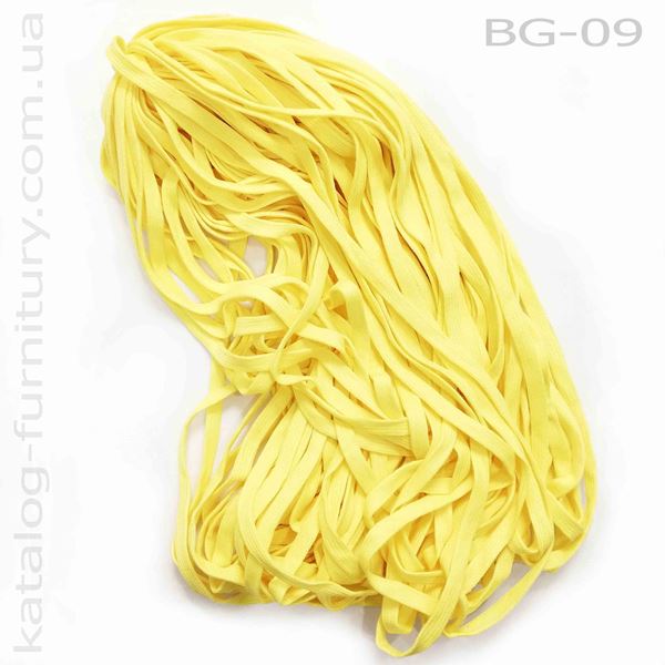 bg09x